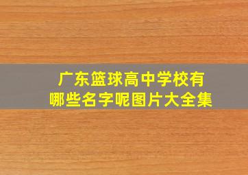 广东篮球高中学校有哪些名字呢图片大全集