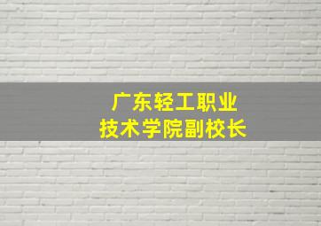 广东轻工职业技术学院副校长