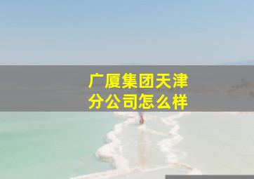 广厦集团天津分公司怎么样