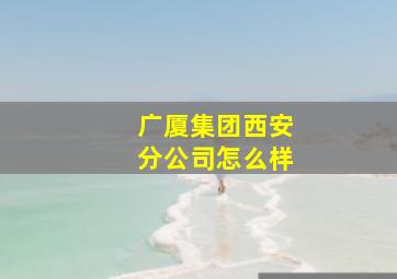 广厦集团西安分公司怎么样