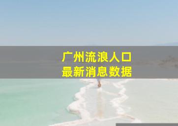 广州流浪人口最新消息数据