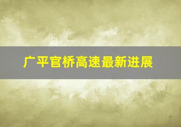 广平官桥高速最新进展