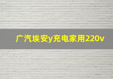 广汽埃安y充电家用220v