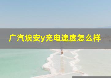 广汽埃安y充电速度怎么样