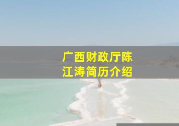 广西财政厅陈江涛简历介绍