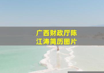 广西财政厅陈江涛简历图片