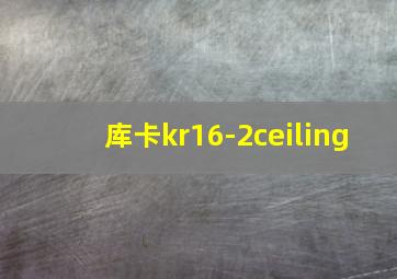 库卡kr16-2ceiling