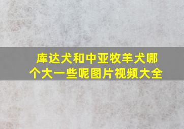 库达犬和中亚牧羊犬哪个大一些呢图片视频大全