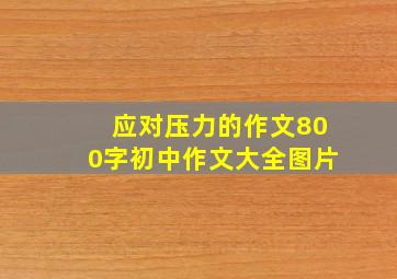 应对压力的作文800字初中作文大全图片