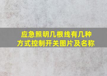 应急照明几根线有几种方式控制开关图片及名称