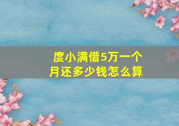 度小满借5万一个月还多少钱怎么算