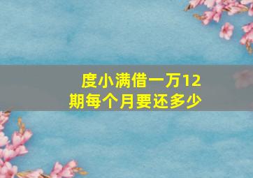 度小满借一万12期每个月要还多少