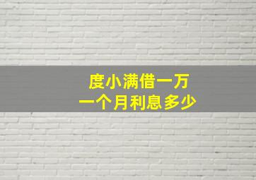 度小满借一万一个月利息多少