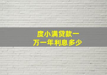 度小满贷款一万一年利息多少