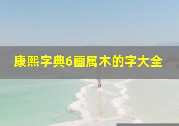 康熙字典6画属木的字大全