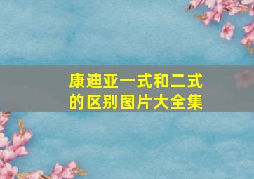 康迪亚一式和二式的区别图片大全集