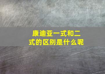 康迪亚一式和二式的区别是什么呢