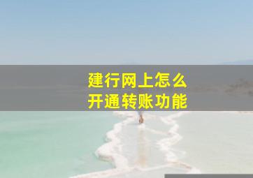 建行网上怎么开通转账功能