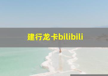 建行龙卡bilibili