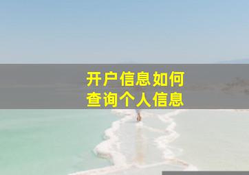 开户信息如何查询个人信息