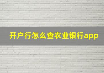 开户行怎么查农业银行app