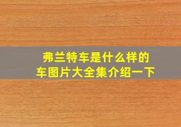 弗兰特车是什么样的车图片大全集介绍一下