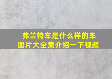 弗兰特车是什么样的车图片大全集介绍一下视频