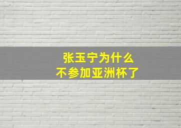 张玉宁为什么不参加亚洲杯了