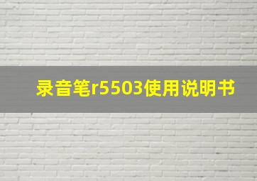 录音笔r5503使用说明书