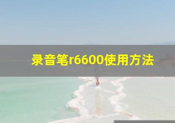 录音笔r6600使用方法