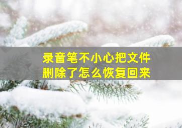 录音笔不小心把文件删除了怎么恢复回来