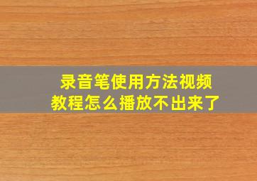 录音笔使用方法视频教程怎么播放不出来了