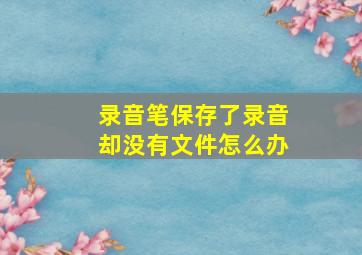 录音笔保存了录音却没有文件怎么办