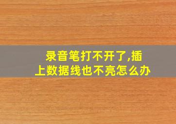 录音笔打不开了,插上数据线也不亮怎么办