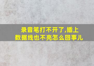 录音笔打不开了,插上数据线也不亮怎么回事儿