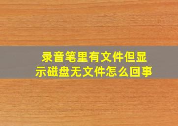 录音笔里有文件但显示磁盘无文件怎么回事