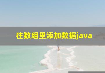 往数组里添加数据java