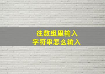 往数组里输入字符串怎么输入