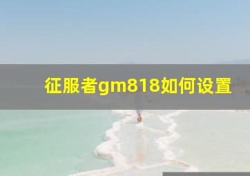 征服者gm818如何设置