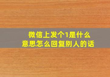 微信上发个1是什么意思怎么回复别人的话