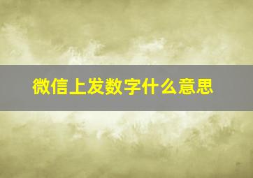 微信上发数字什么意思