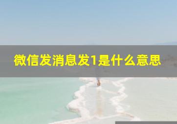 微信发消息发1是什么意思