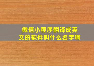 微信小程序翻译成英文的软件叫什么名字啊