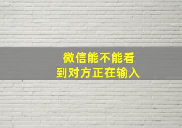 微信能不能看到对方正在输入