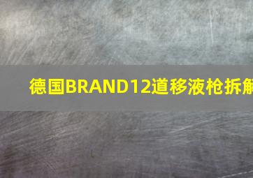 德国BRAND12道移液枪拆解