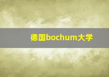 德国bochum大学