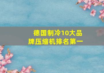 德国制冷10大品牌压缩机排名第一