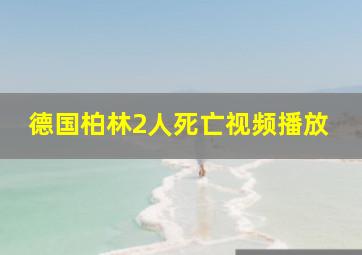 德国柏林2人死亡视频播放