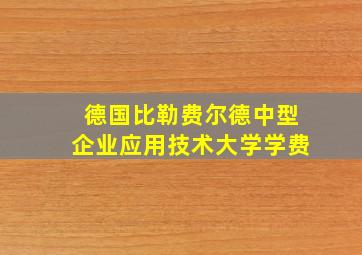 德国比勒费尔德中型企业应用技术大学学费