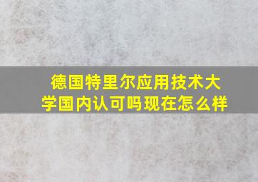 德国特里尔应用技术大学国内认可吗现在怎么样